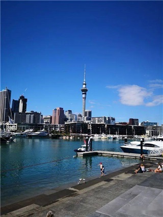 新西蘭留學|新西蘭中小學留學全攻略：優(yōu)勢、課程體系與申請指南!