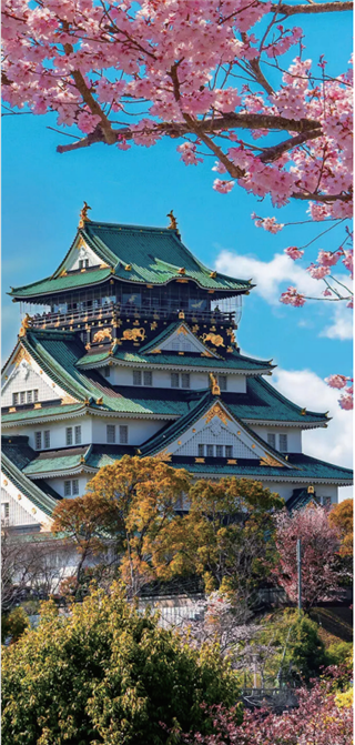 研學(xué)項(xiàng)目|日本東京研學(xué)營(yíng)：7天遇見(jiàn)未來(lái)，在櫻花與動(dòng)漫之國(guó)收獲成長(zhǎng)