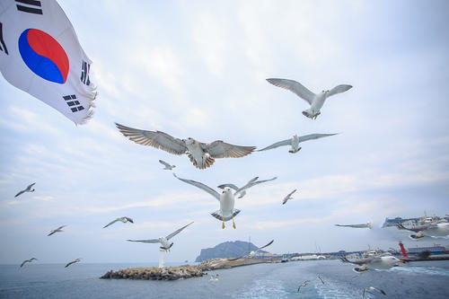 從“非主流”到主流，韓國留學(xué)是怎樣逆襲的？